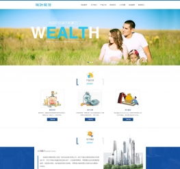 股權(quán)投資財(cái)富管理網(wǎng)站模板 移動端與咨詢功能